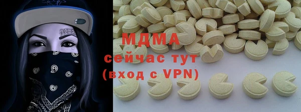 spice Богородск