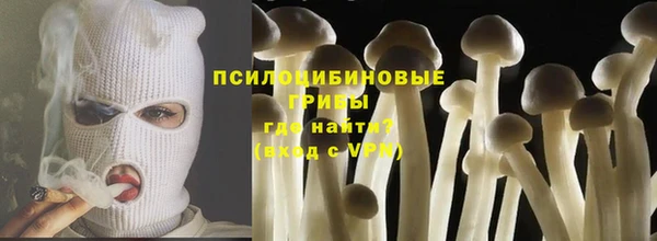 ECSTASY Богородицк