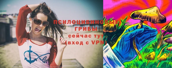 не бодяженный Богданович