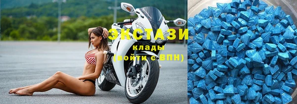 ECSTASY Богородицк