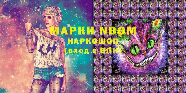 ECSTASY Богородицк