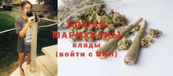 spice Богородск