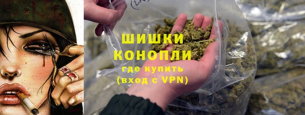 spice Богородск