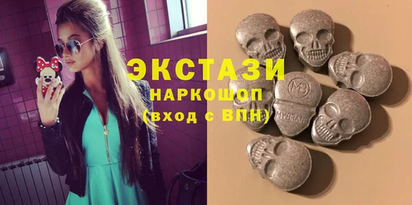 ECSTASY Богородицк
