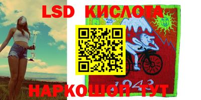 альфа пвп Новодвинск
