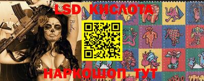 альфа пвп Новодвинск
