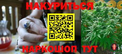 амф Новозыбков