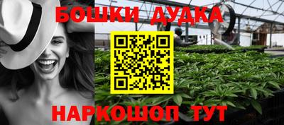 амф Новозыбков