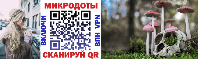Псилоцибиновые грибы мухоморы где можно купить наркотик Дагестанские Огни